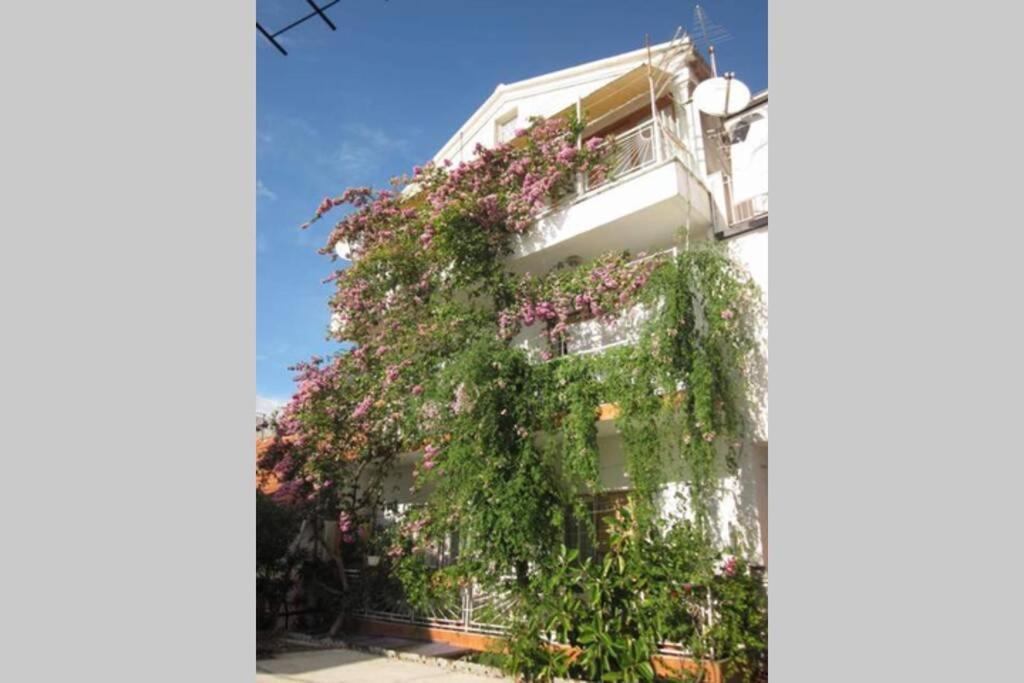 Graciela Perfect Location Gradac * Gradac (Split-Dalmatia)