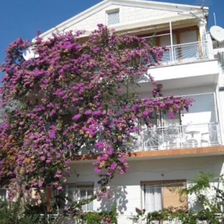 Apartman Graciela Perfect Location Gradac Gradac  Exterior photo