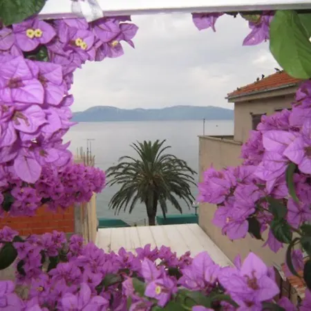 Apartman Graciela Perfect Location Gradac Gradac  Exterior photo