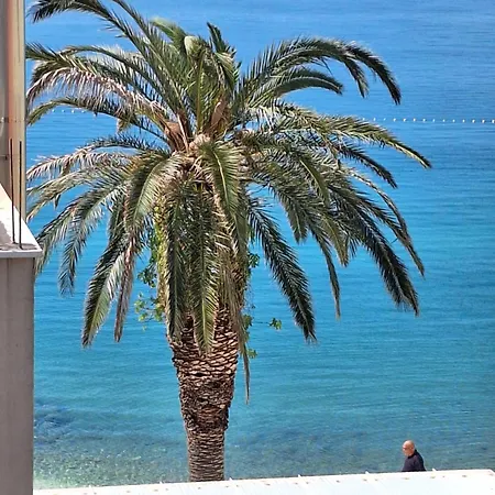 Apartman Graciela Perfect Location Gradac Gradac  Exterior photo