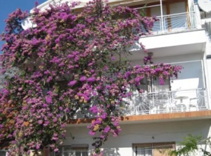 Apartman Graciela Perfect Location Gradac