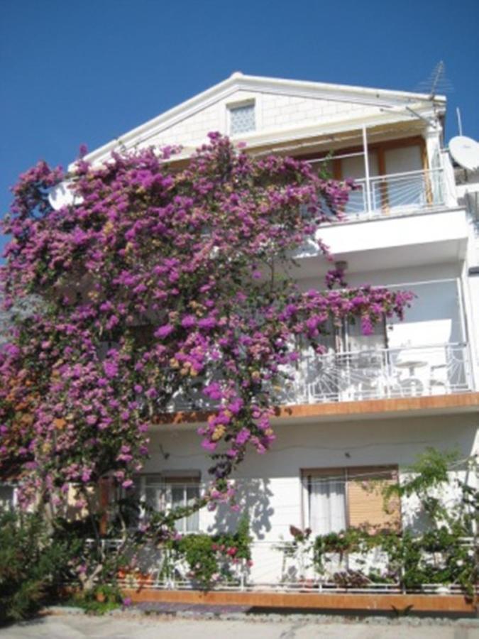 Graciela Perfect Location Gradac * Gradac (Split-Dalmatia)