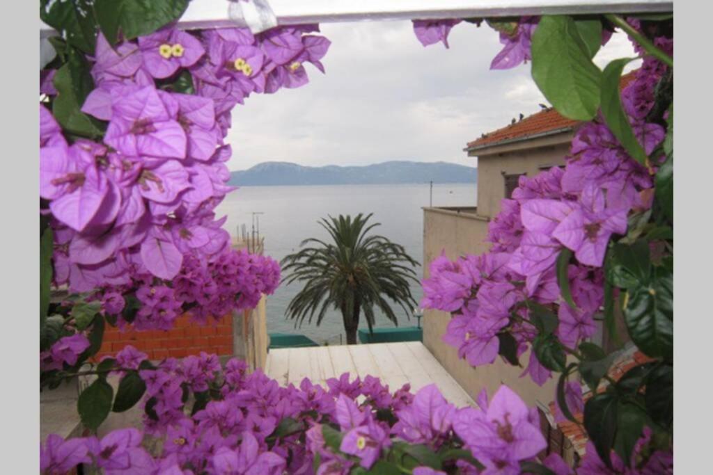 Apartment Graciela Perfect Location Gradac