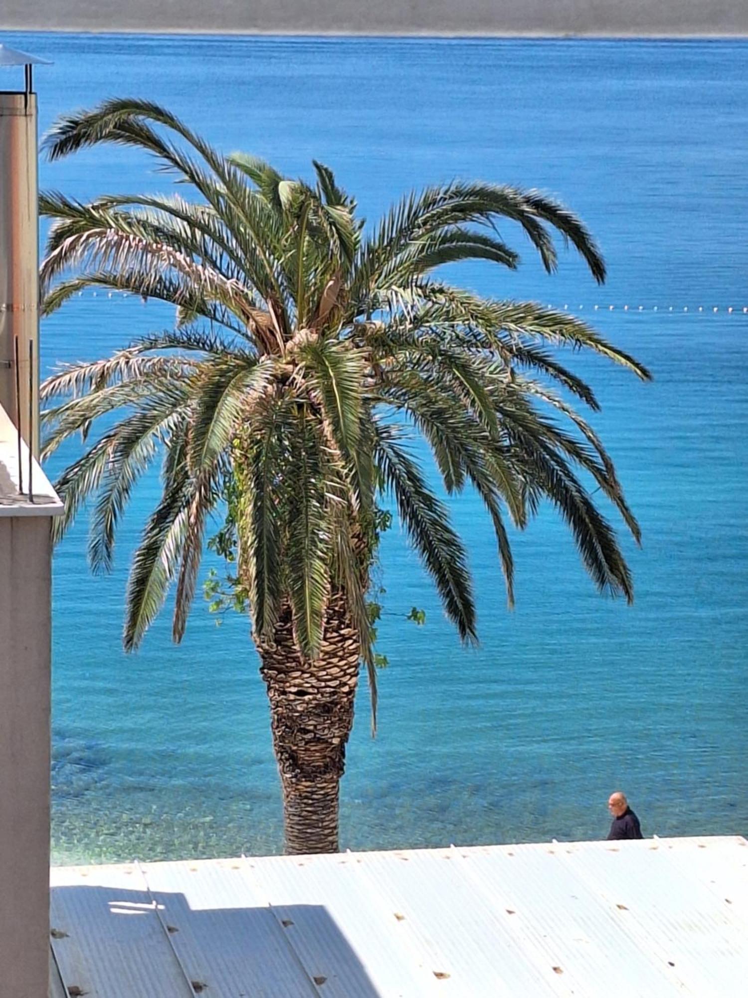 Apartment Graciela Perfect Location Gradac *